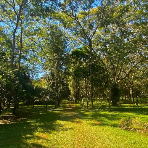 7 Hectáreas de Naturaleza pura - Quinta Rosa Delia