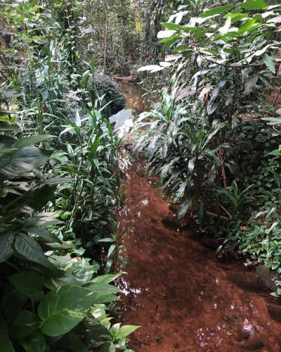 Arroyo - Cabañas y Quincho Mbatovi