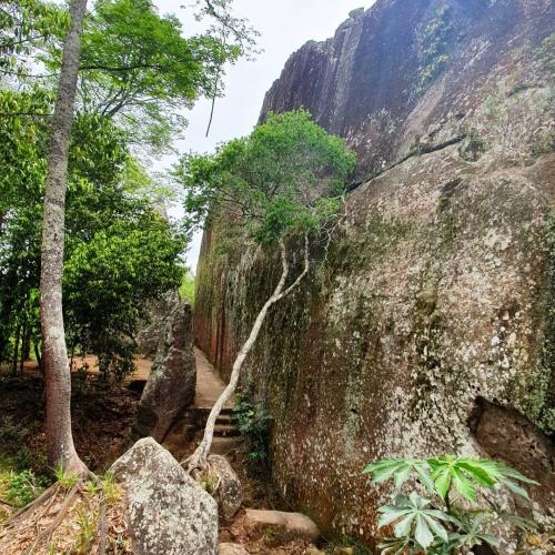 Cerro - Cabaña Ita Kua