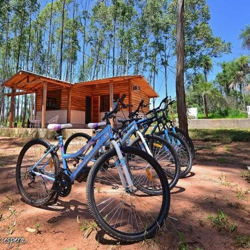 paseos en bici por el bosque - La Cabaña de mi Finca