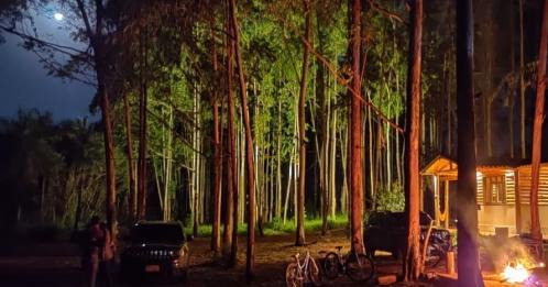 el bosque y la cabana - La Cabaña de mi Finca