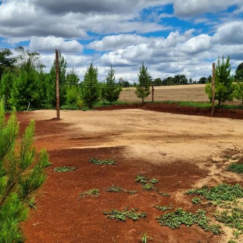 Cancha de voley - Complejo Turístico Las Cabañas