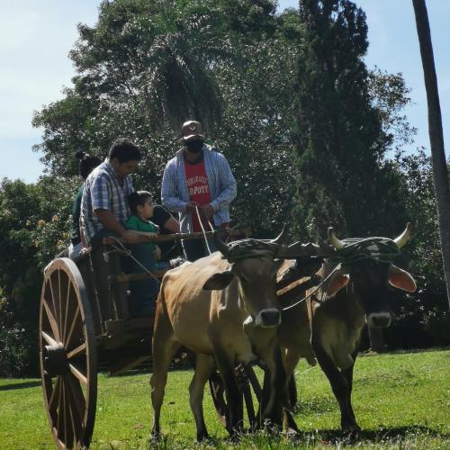 Paseo en carreta - Granja Ecológica y Posada Rural Arapoty