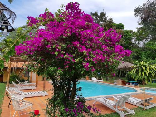 Piscina - Granja Ecológica y Posada Rural Arapoty