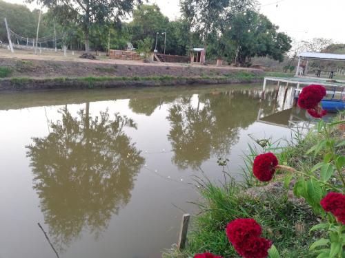 Tajamar para pesca - Cabañas del Río