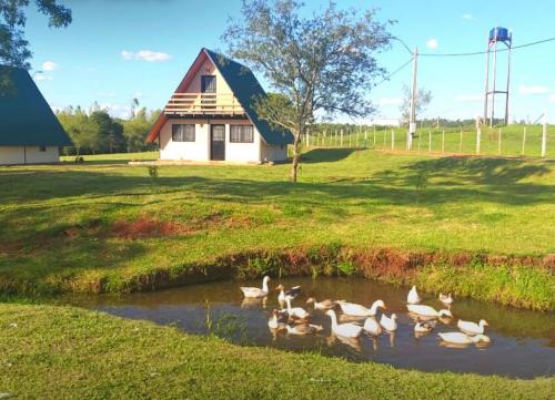 Lago - Campo Verde Bungalows