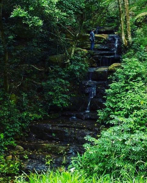 Arroyo - El Escondido Caacupé