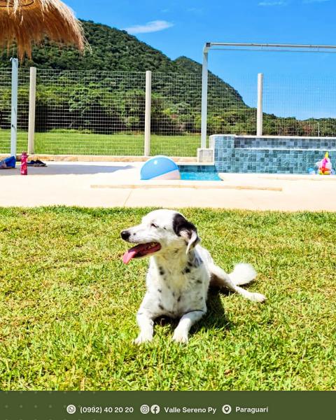 Pet Friendly - Quinta Valle Sereno