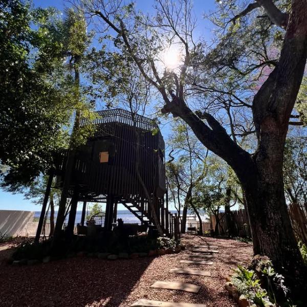  - Cabaña del Árbol