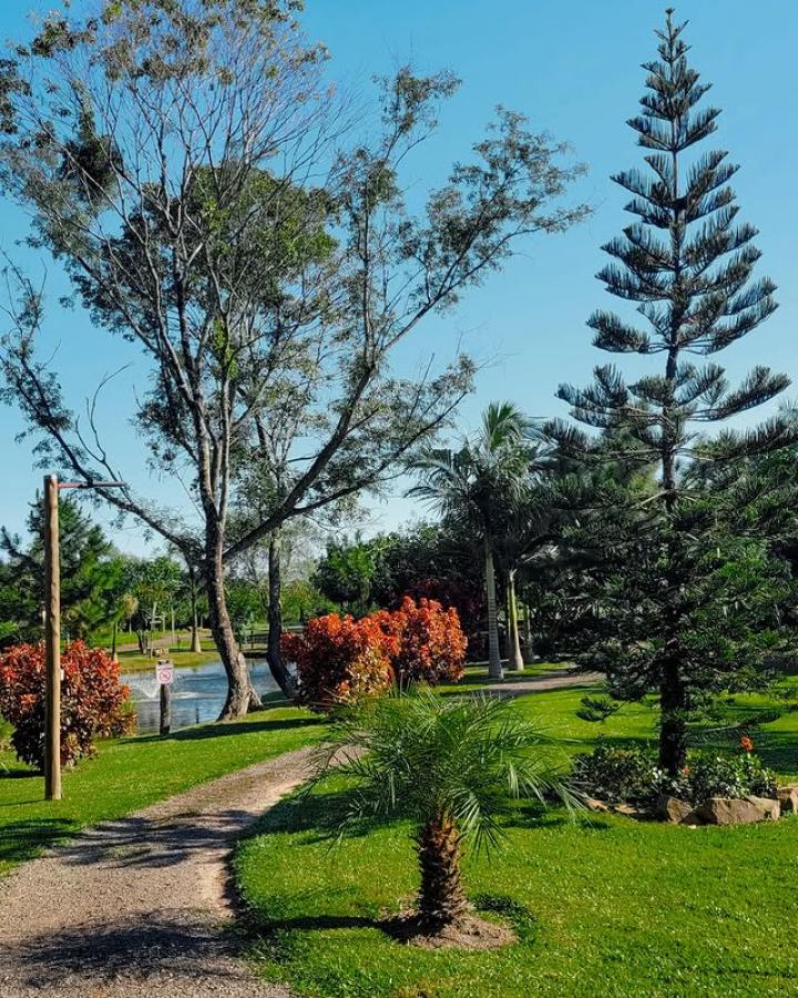 Cabaña Mi querido Viejo