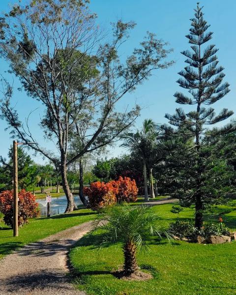 arboles - Cabaña Mi querido Viejo