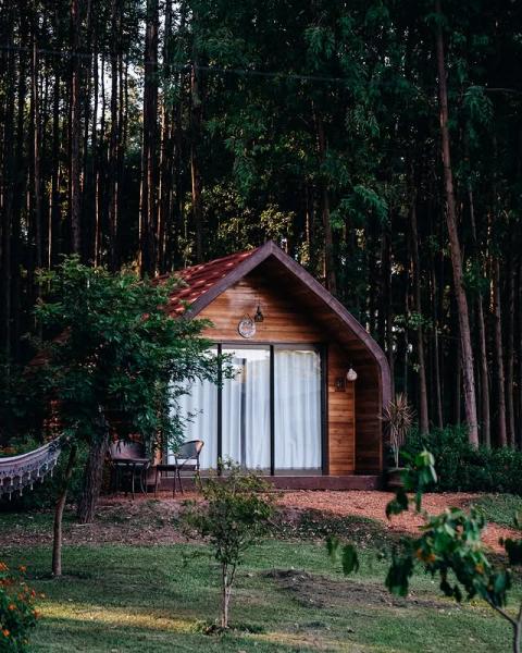 Cabaña 2 - Cabaña Mi querido Viejo